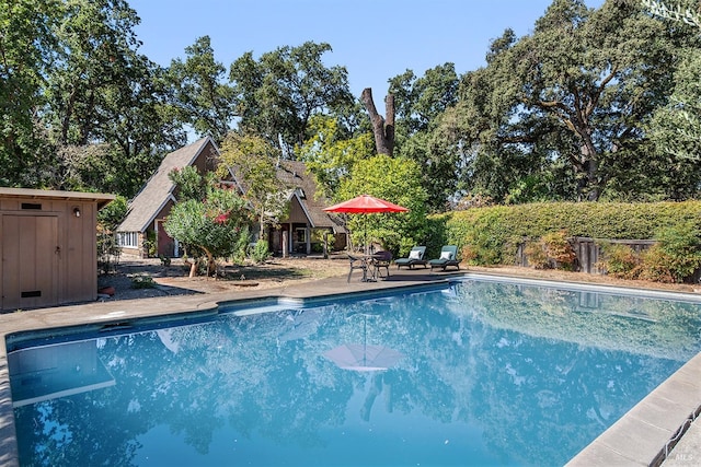 view of swimming pool with a patio and a storage unit