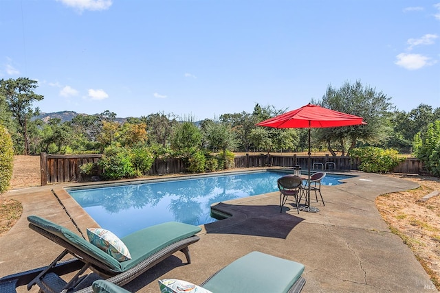 view of pool with a patio