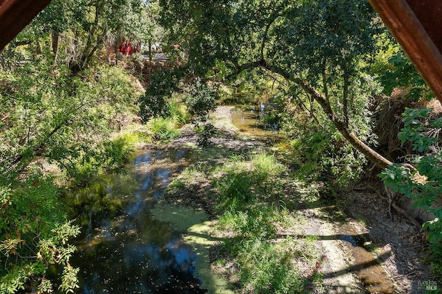 view of landscape