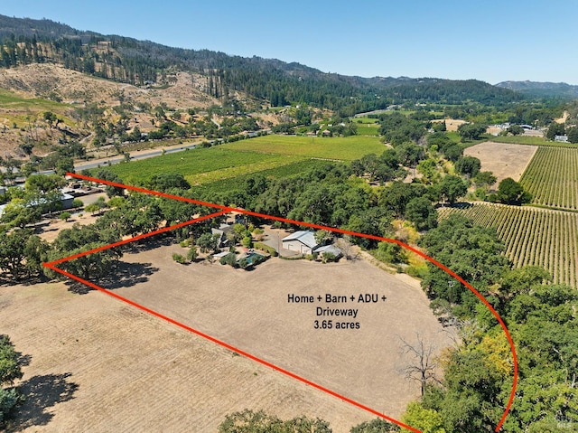 birds eye view of property with a mountain view and a rural view