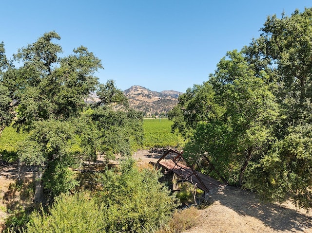 mountain view featuring a rural view