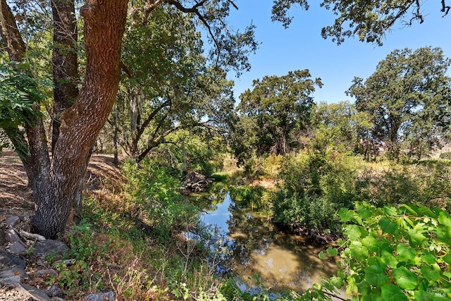 view of landscape with a water view