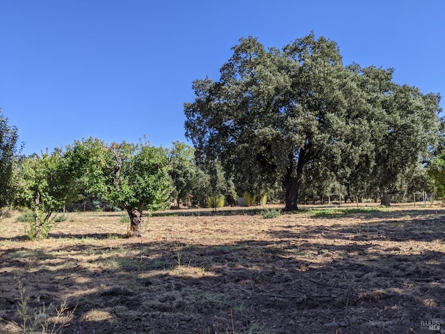 view of nature with a rural view