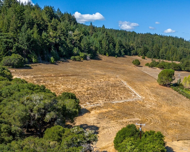 bird's eye view with a rural view