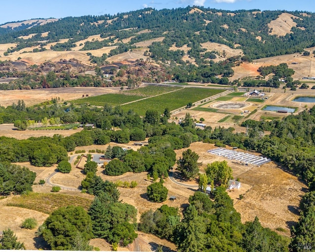 bird's eye view with a mountain view and a rural view