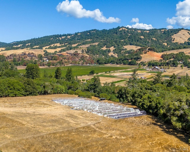 mountain view featuring a rural view