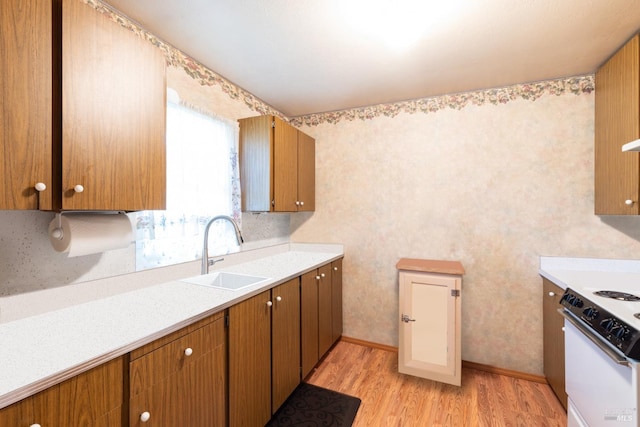 kitchen with light hardwood / wood-style flooring, sink, and white range