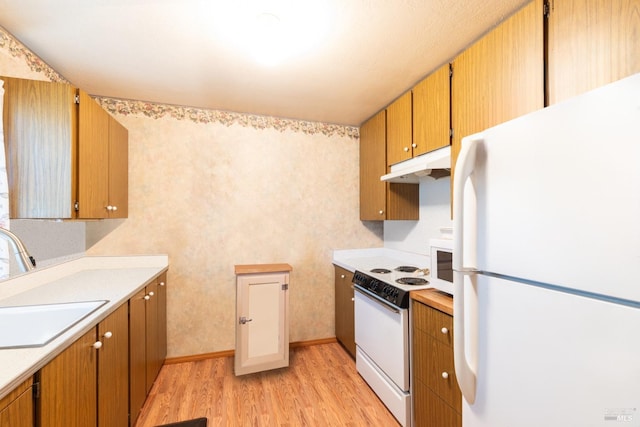 kitchen featuring light hardwood / wood-style floors, white appliances, and sink