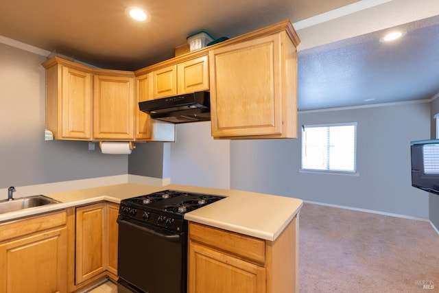 kitchen featuring light colored carpet, ornamental molding, kitchen peninsula, and black range with gas cooktop