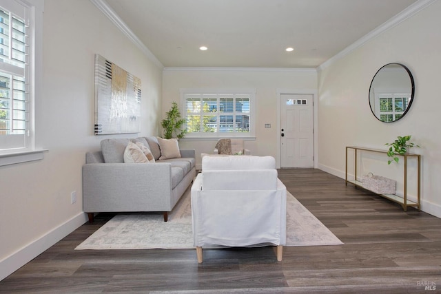 living room featuring ornamental molding and dark hardwood / wood-style floors