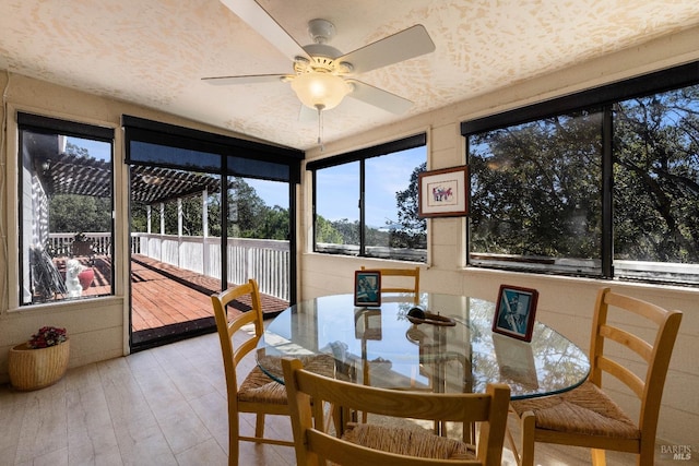 dining space with ceiling fan and light hardwood / wood-style flooring