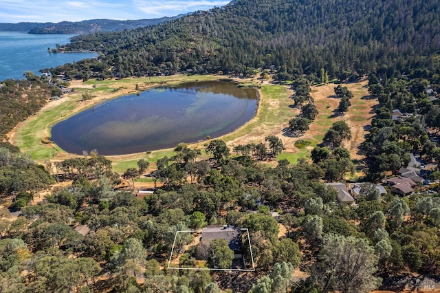 bird's eye view featuring a water and mountain view