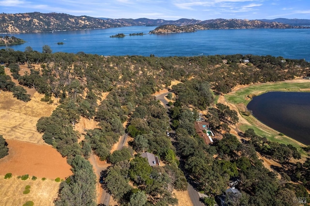 birds eye view of property featuring a water and mountain view