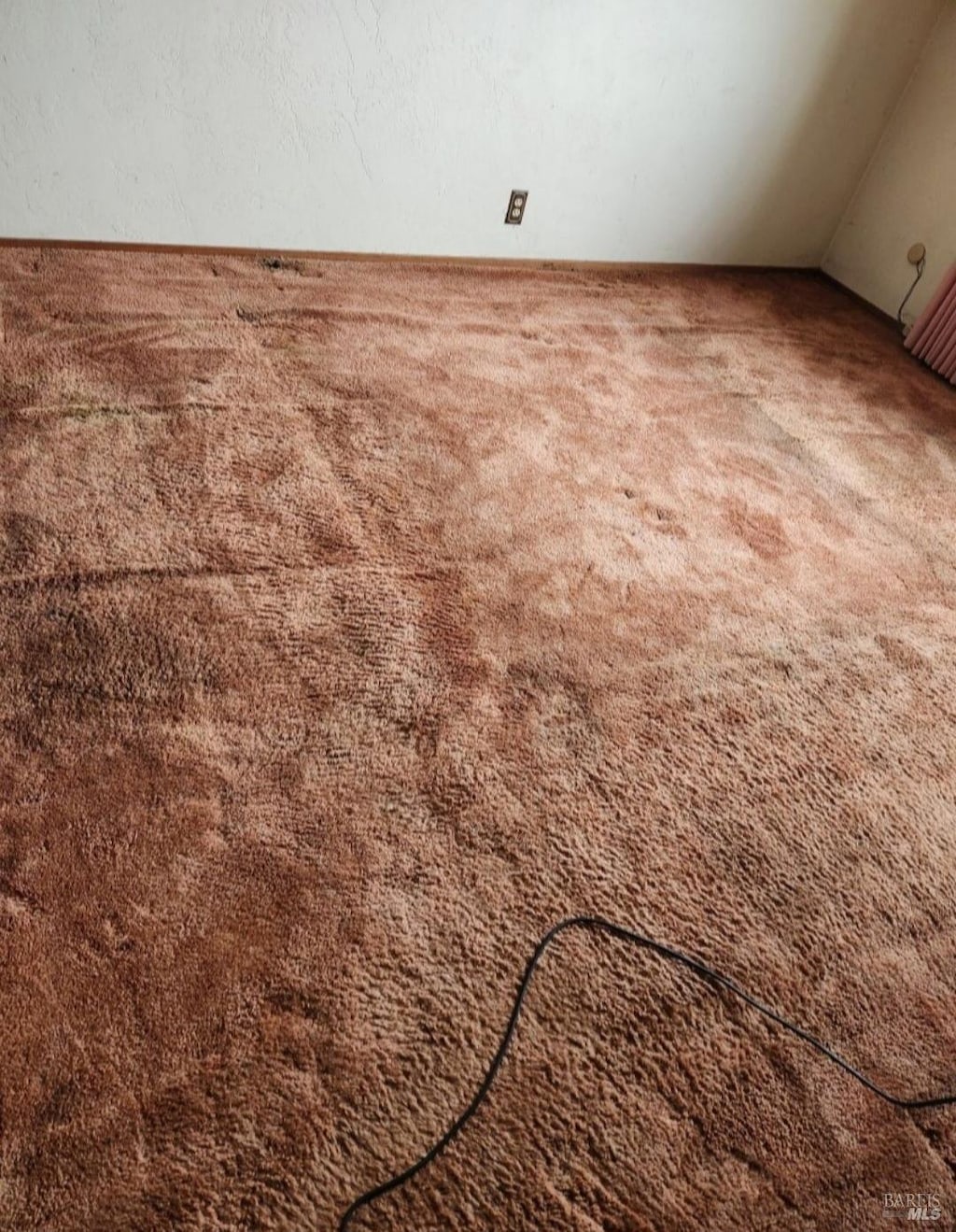 room details featuring carpet flooring