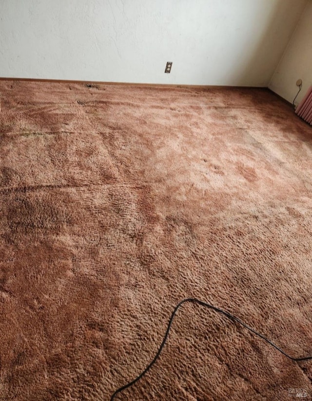 room details featuring carpet flooring