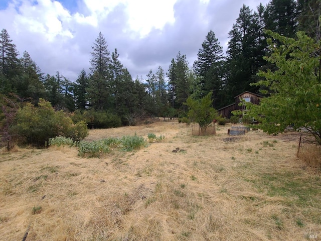 view of yard featuring a rural view