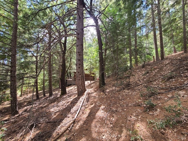 view of landscape