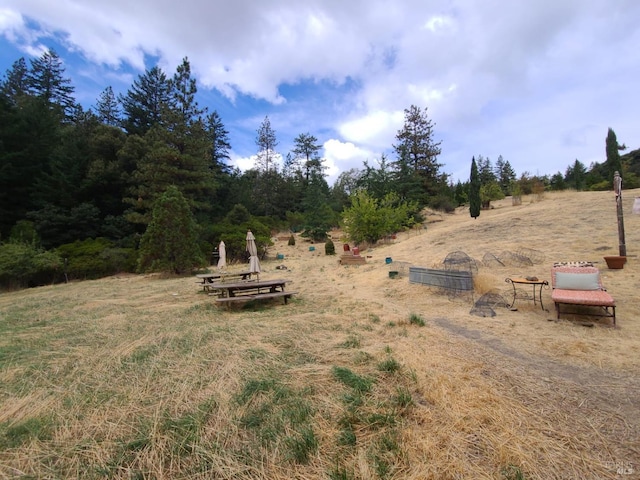 view of yard with a rural view