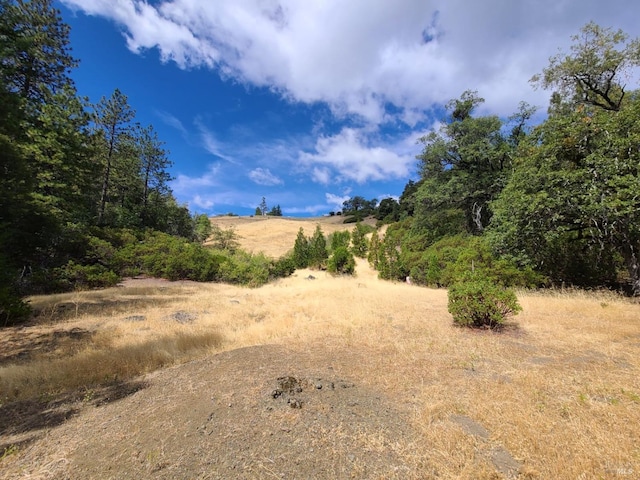 view of landscape