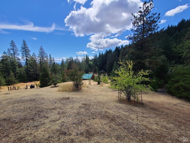 view of yard with a rural view