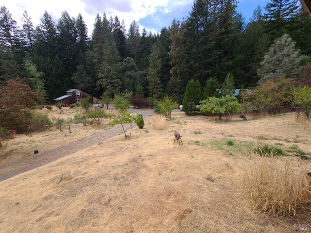 view of local wilderness with a rural view