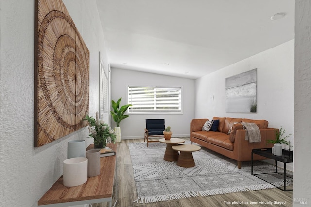 living room with light hardwood / wood-style flooring and vaulted ceiling