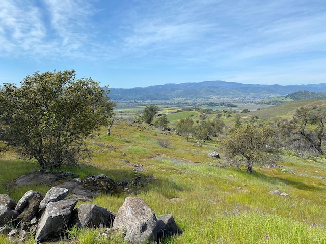 Listing photo 3 for 0 Chimney Rock Rd, Napa CA 94558