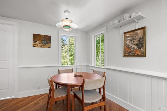 dining space with hardwood / wood-style flooring