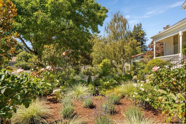 2230 1st St, Napa, CA 94559 - view of yard