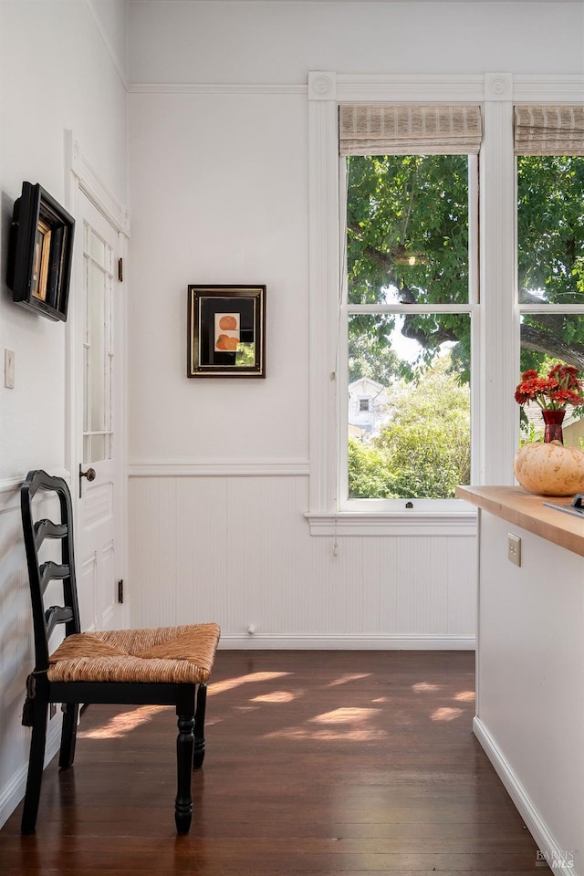 living area with dark wood-type flooring, a wainscoted wall, and a wealth of natural light