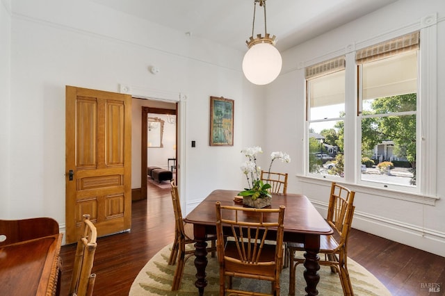 dining area featuring dark wood-type flooring