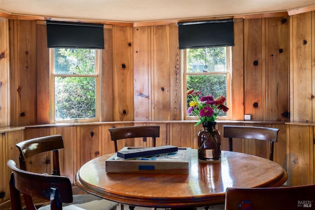 dining room featuring wooden walls and plenty of natural light