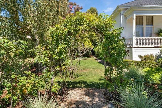 2230 1st St, Napa, CA 94559 - view of yard