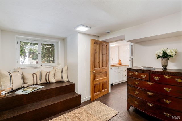interior space featuring dark wood-type flooring