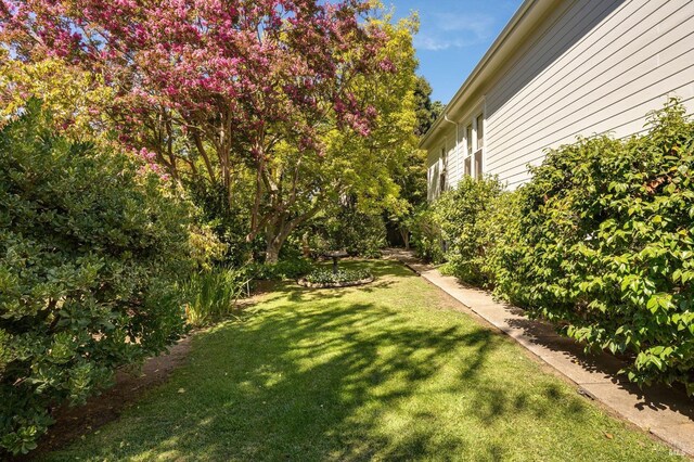 2230 1st St, Napa, CA 94559 - view of yard