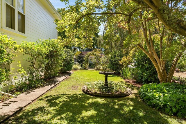 2230 1st St, Napa, CA 94559 - view of yard