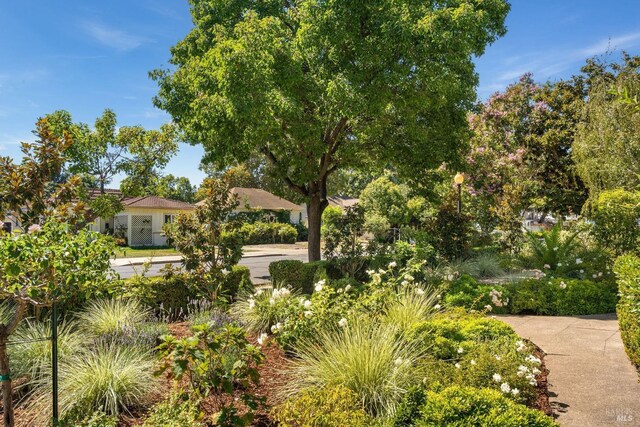 2230 1st St, Napa, CA 94559 - view of property's community