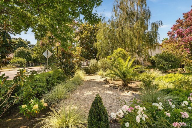 2230 1st St, Napa, CA 94559 - view of surrounding community