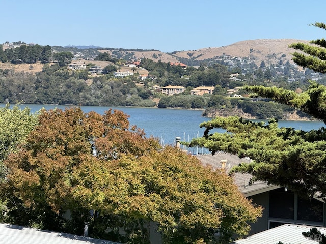 view of water feature with a mountain view