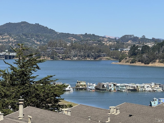 view of water feature featuring a mountain view