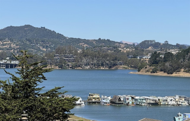 property view of water with a mountain view