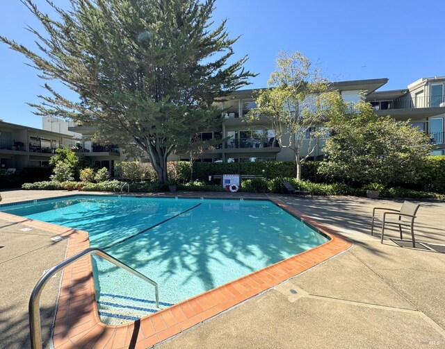 view of swimming pool