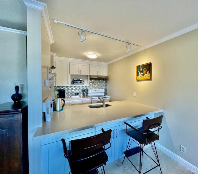 kitchen featuring a breakfast bar area, decorative backsplash, ornamental molding, a sink, and a peninsula