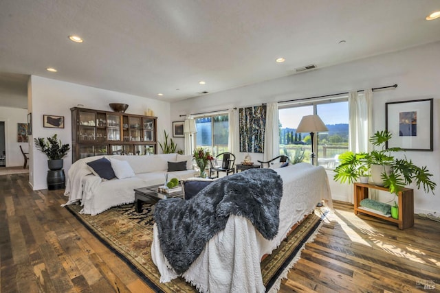 living room featuring dark wood-type flooring