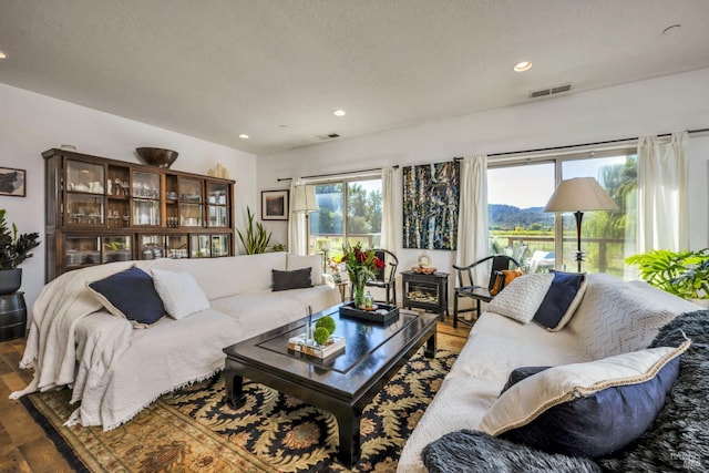 living room with dark hardwood / wood-style floors and a wealth of natural light