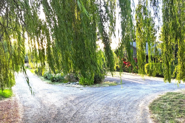 view of surrounding community