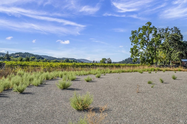 view of yard with a mountain view