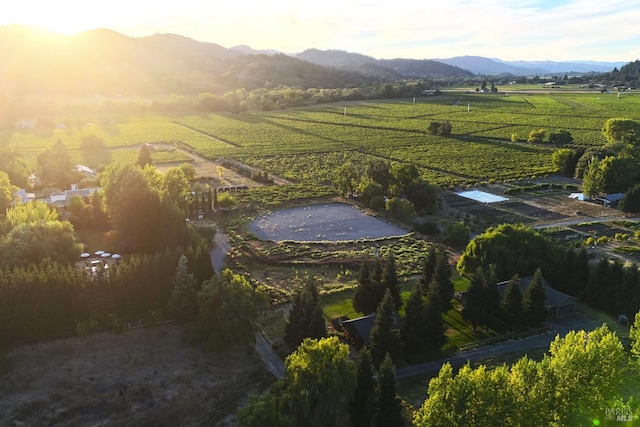 birds eye view of property with a mountain view and a rural view