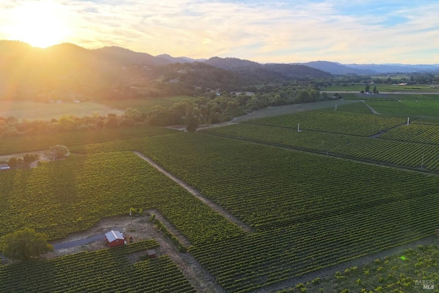 aerial view at dusk featuring a mountain view and a rural view