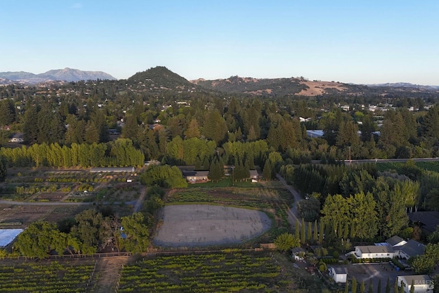 birds eye view of property featuring a mountain view